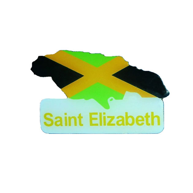 Saint Elizabeth Imprinted Lapel Pin