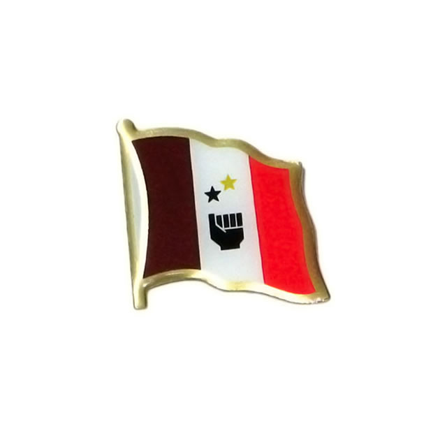 Silk Screen Printing Flag Pin